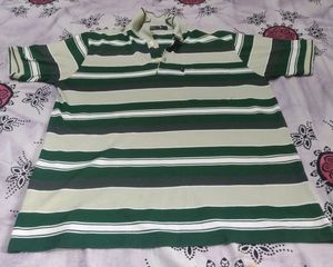 Collar T Shirt With Multi Colour  Stripes