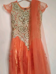 Barbie Gown With Embroidery