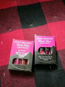 Matte Mini Nude and Red Edition Lipstick💄