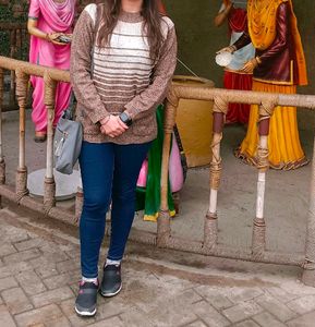 Brown And Cream Sweatshirt
