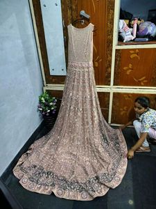 Pakistani Embroidered Tail Gown