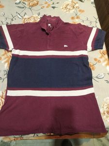 Striped Polo Shirt