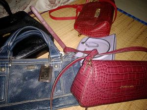 Variety of Stylish Handbags