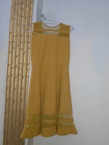Mustard Yellow Fit & Flare Dress