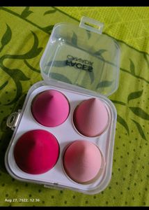 Combo Brush Set+ Beauty Blender Set