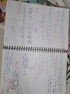 Class 11th Bio Toppers Batch Notes