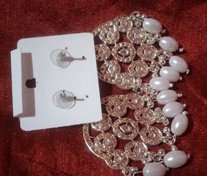 Stunning Silver Tone Dangle Earrings