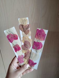 ressed Flower Bookmarks (Set of 3)+ 1 Freebies ✅✅