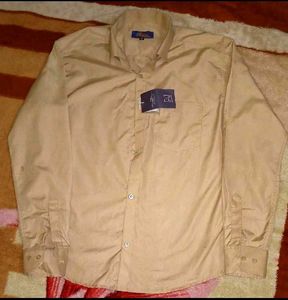 Classic Beige Shirt