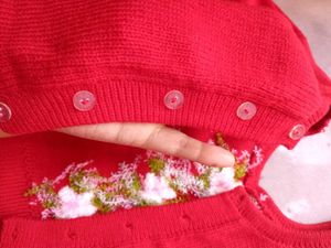 Red Embroidered Woolen Blouse
