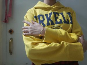 Zara Hoodie