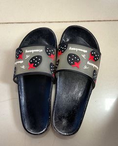 Flip Flop