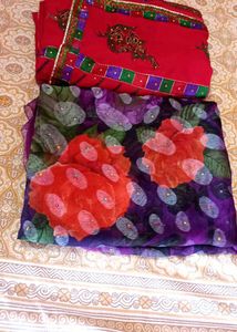 Beautiful Saree 2