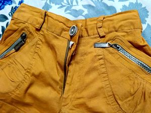 Lion Yellow Cotton Hot Pant