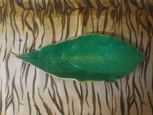 Green Trinket