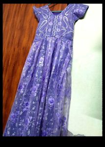 Organza Gown New
