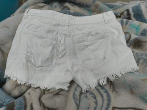 shorts for both men and women