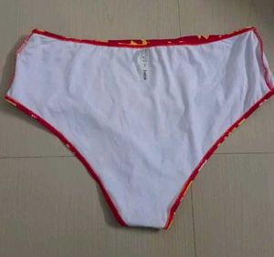 SHIEN Brief