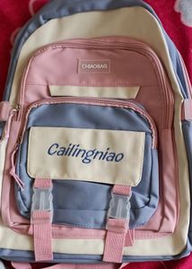 Stylish Backpack
