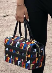 Fendi Roma Handbag