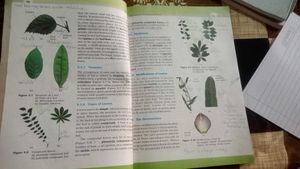12th Biology Book