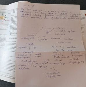 Biochemistry Book For Medical Student