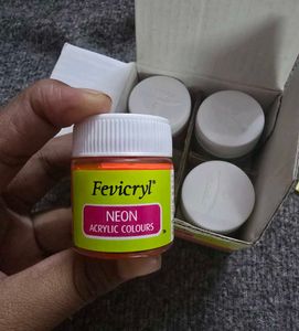 Fevicryl Neon Acrylic Colours