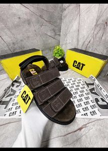Cat Sandall High Hill