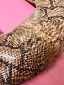 H&amp;M Snake Bag FIXED price Directly Place Order