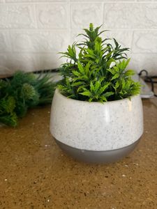 1 Plastic Pot And 4 Artificial Plants