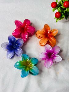 3 Unique Hair Clip