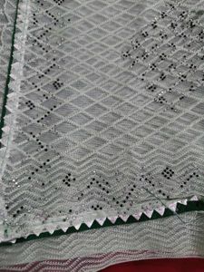 Elegant mint Green Saree with blouse