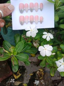Press-On Nail Set