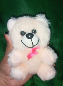 Cute Small Teddy Bear Plushie 🧸