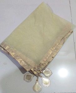 Elegant Ethnic Saree