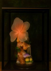 Fairy Figurine in Display Case