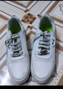 (Puma) Sneaker For Men