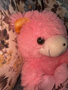 Baby Pink Teddy Bear