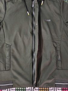 Men Olive Hooded Jacket