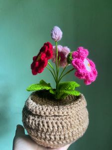 Crochet Flower Pot