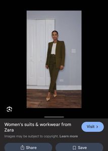 ZARA BASIC LIMITED EDITION Brown Career Pants