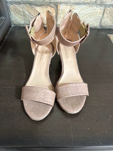 Blush Nude Block Heels with Transparent Heel