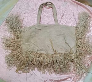 Imported Mango bag