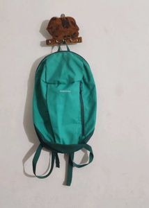 Quechua Green Backpack
