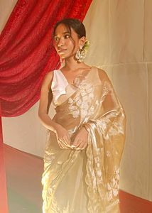 Elegant Embroidered Saree