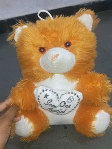 Teddy  Bear 🐻