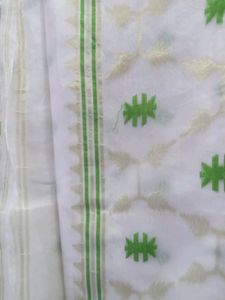 Agastya Rumal Chiffon Base Saree