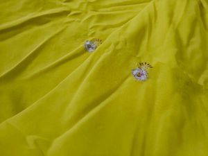 Yellow Saree with Silver Embroidery