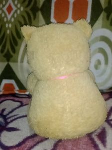 A CUTE TEDDY ' Wood Showpiece Bird