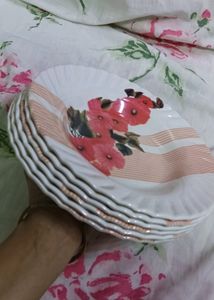 Fiber Plates 🍽️